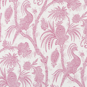 LA PALMA | BEET