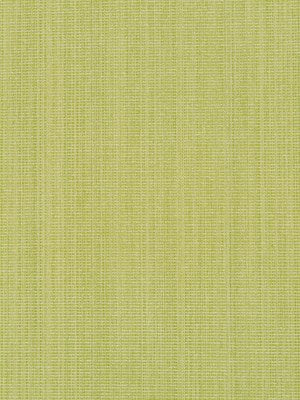 RIBBED SOLID | SPRING GRASS
