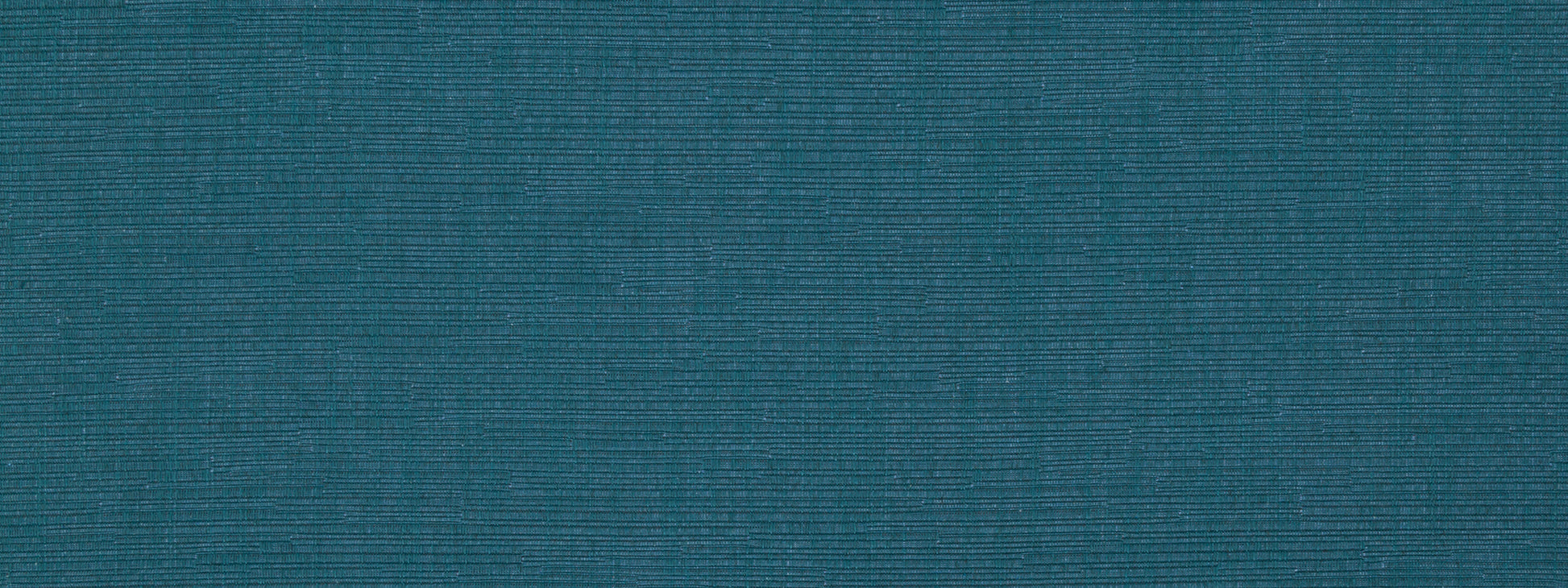 Happy Hour | Parrot Blue