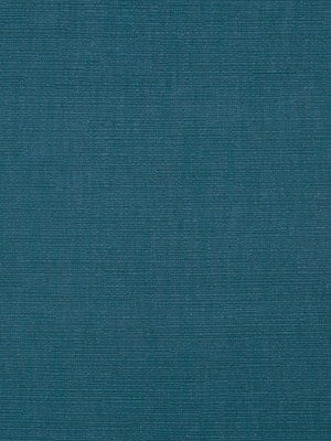 Happy Hour | Parrot Blue