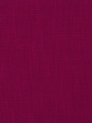 Happy Hour | Beet