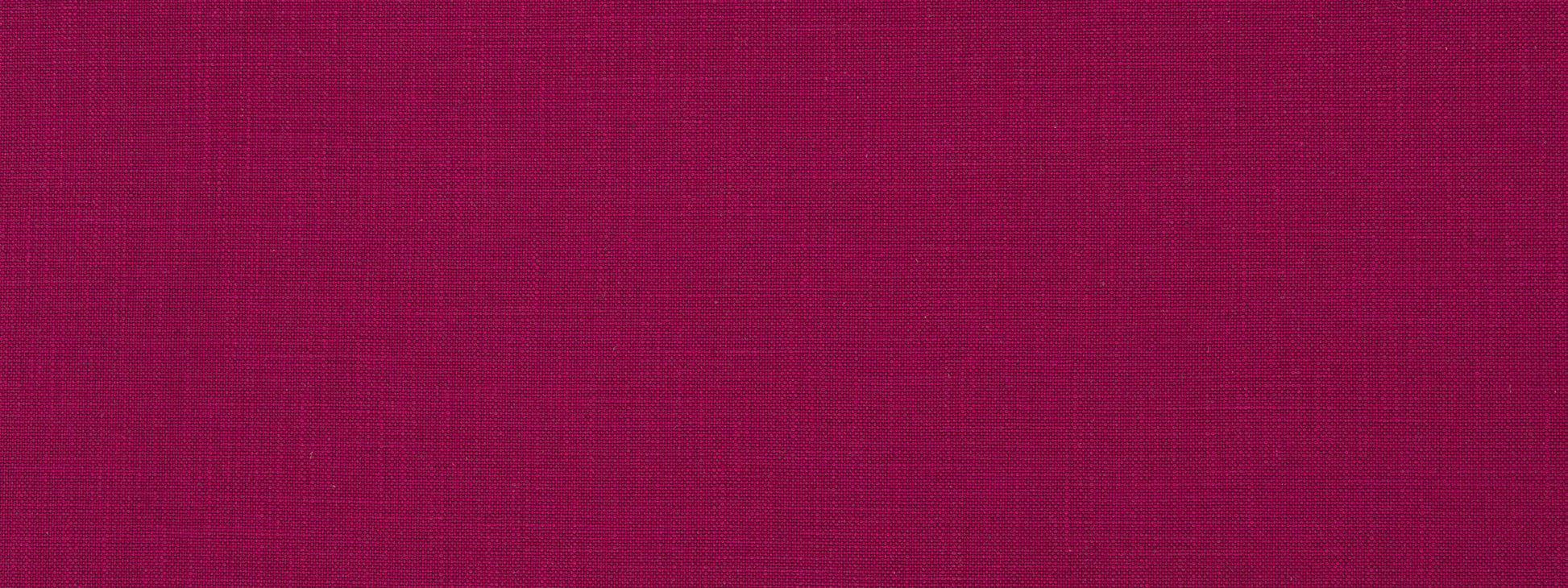 Open Plain | Beet