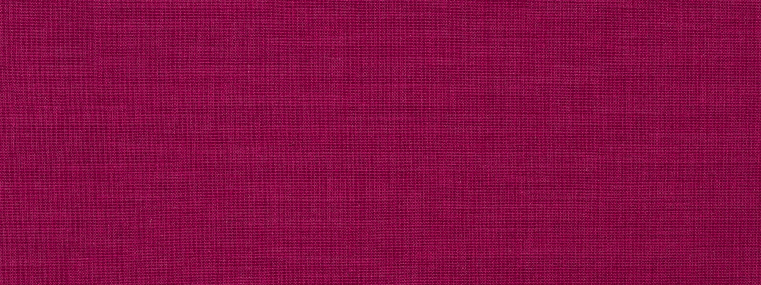 Open Plain | Beet