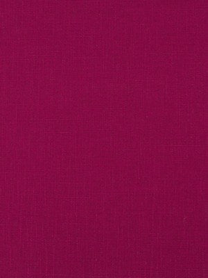 Open Plain | Beet
