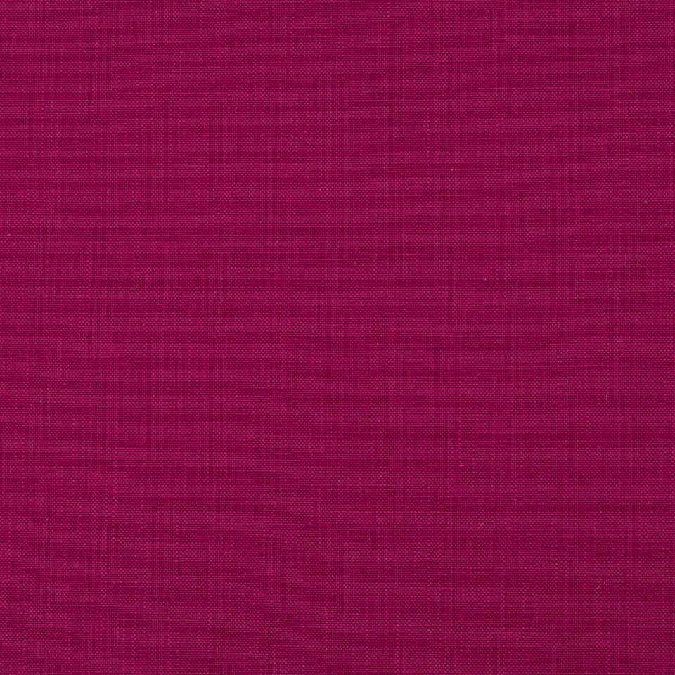 Open Plain | Beet