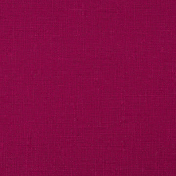 Open Plain | Beet