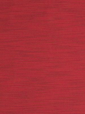 SILKY SLUB | CASSIS