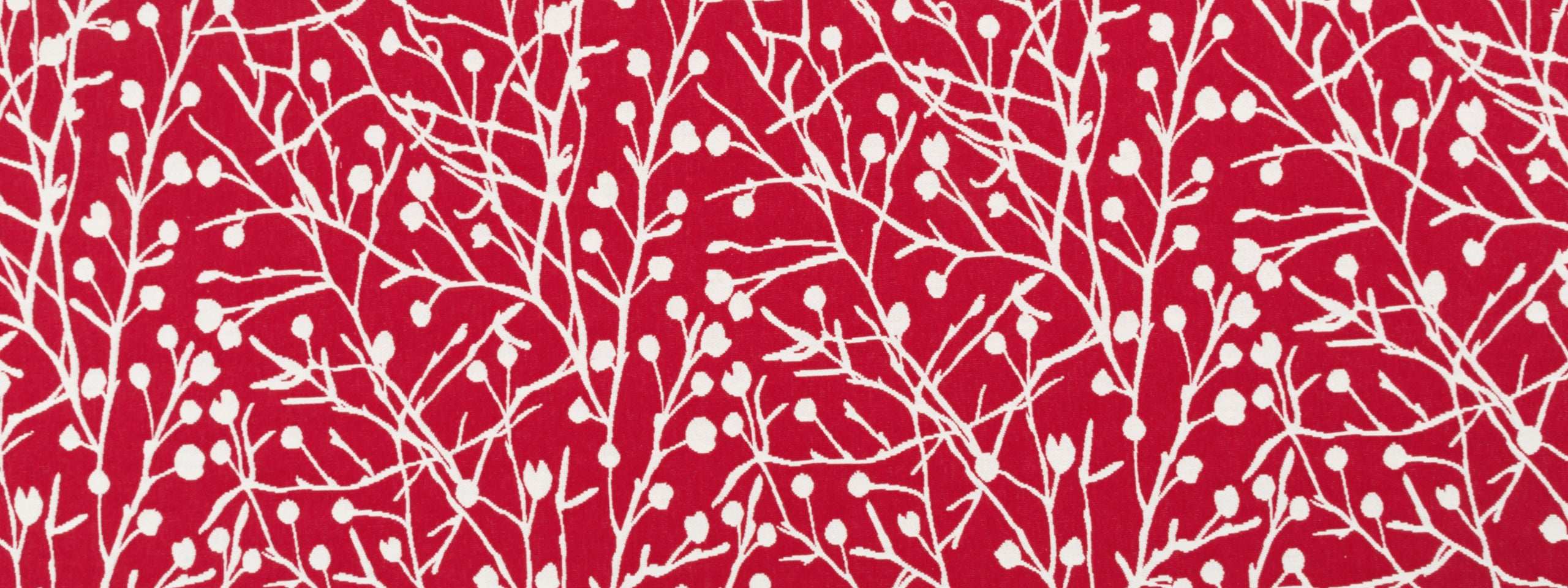 Budding Stick | Cassis