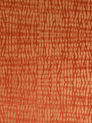 SHIBORI | CORAL