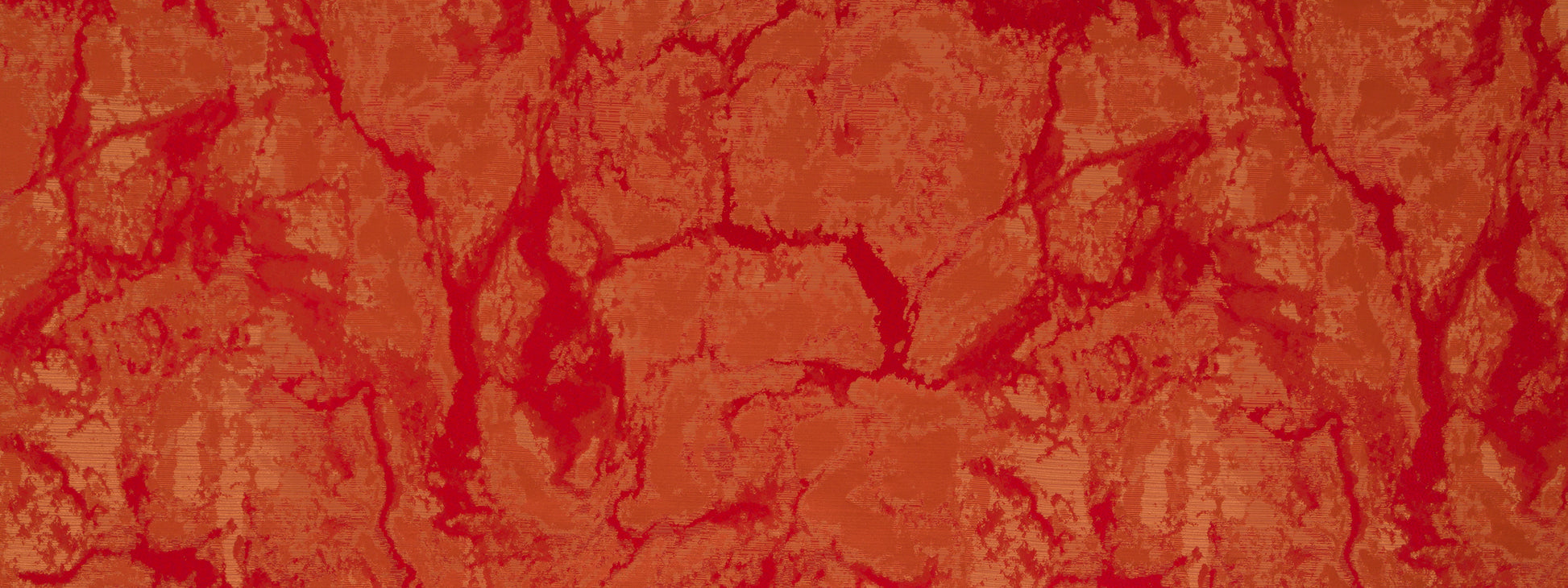 Zebrino | Coral