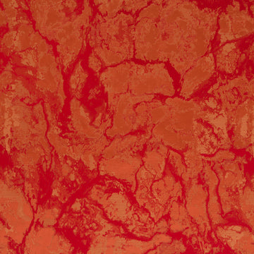 Zebrino | Coral