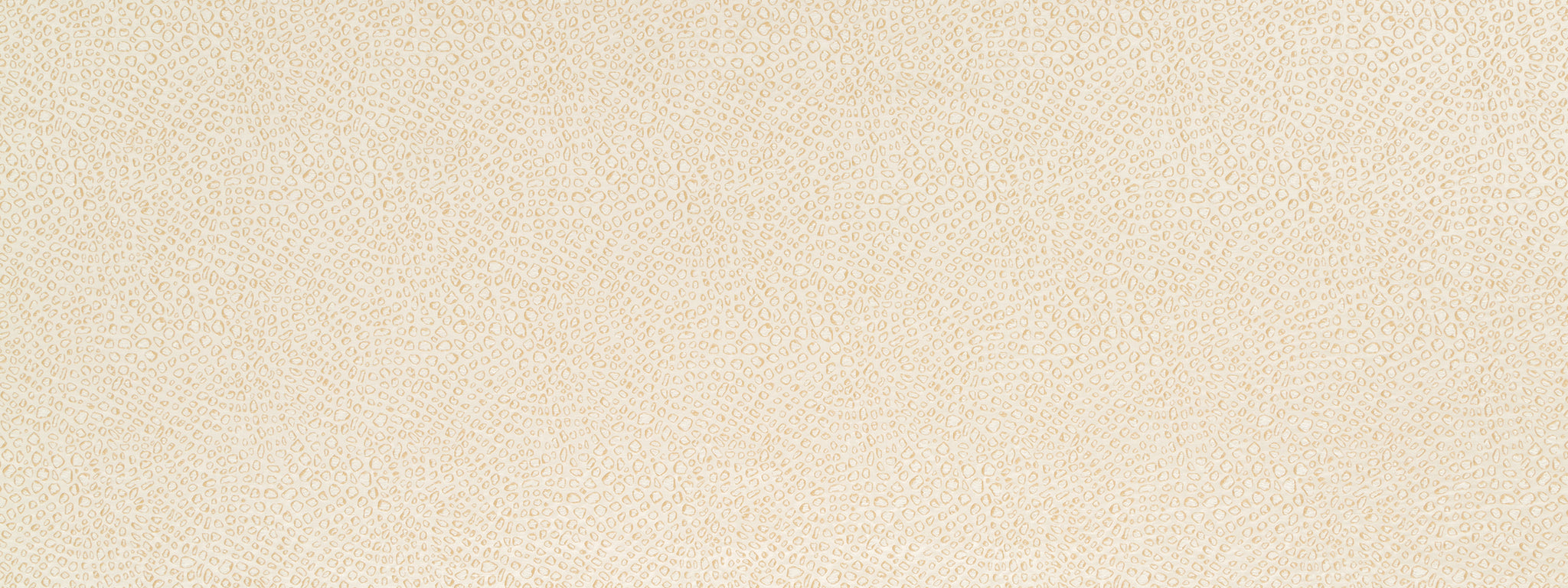 PETIT CROC | CASHMERE