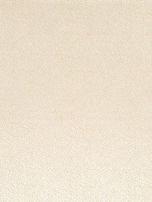 PETIT CROC | CASHMERE