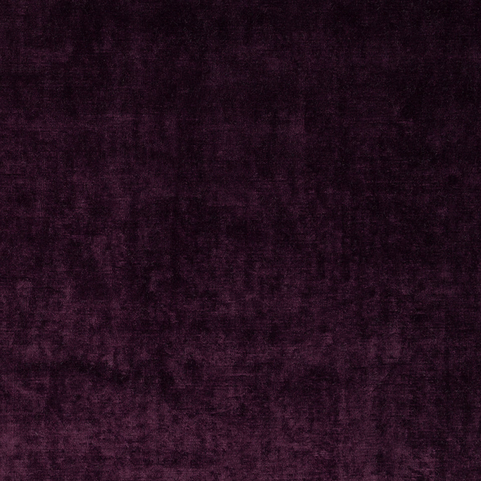 VELVET LINGE | FIG