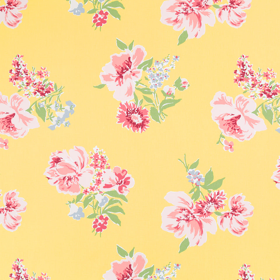 Isleboro Eve | Daffodil