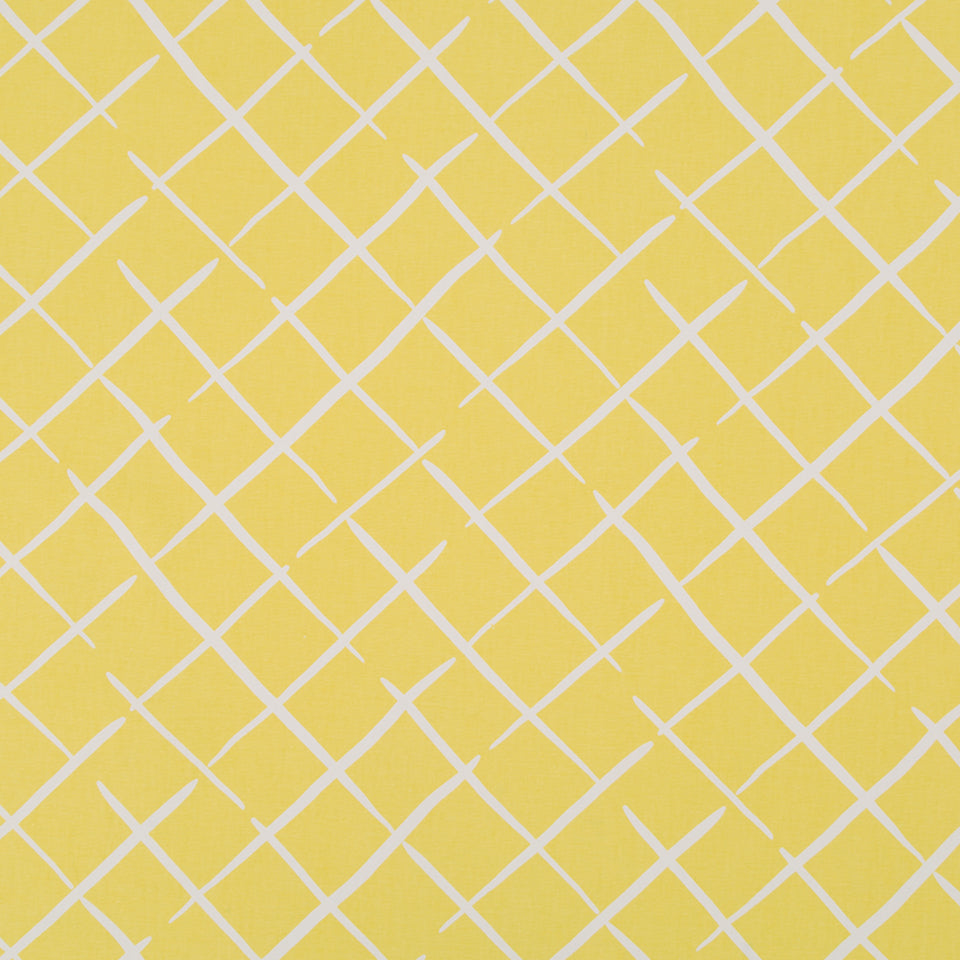 COVE END | DAFFODIL