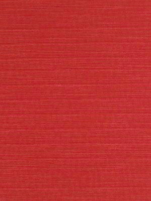 TEKOA | CASSIS