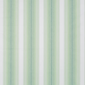 Tivoli Stripe | Palm