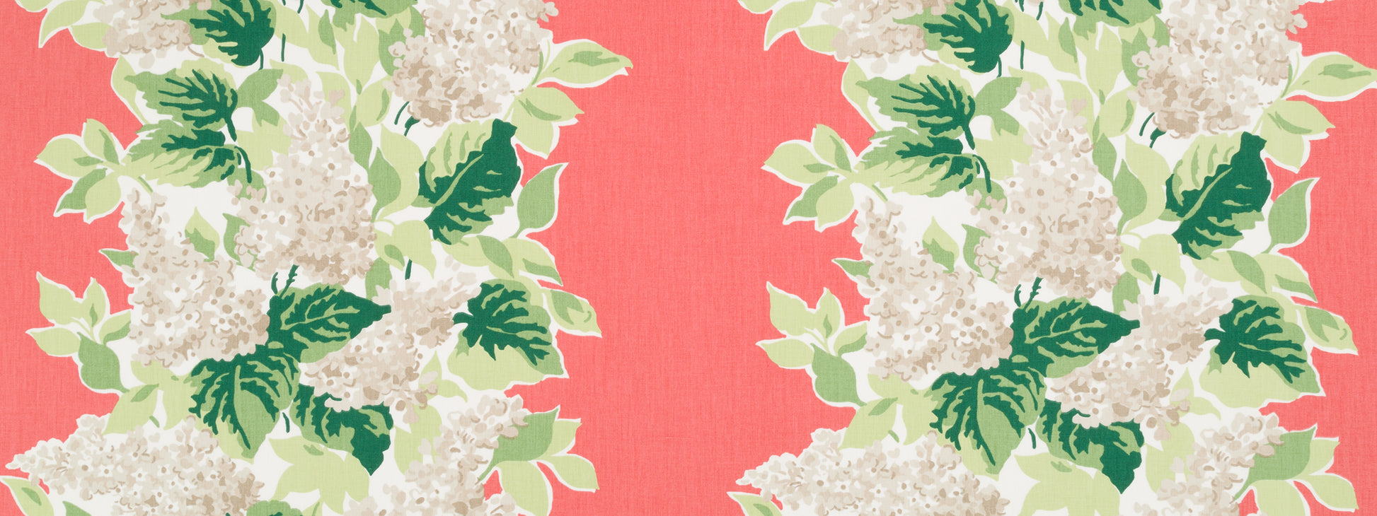Windy Corner | Rhubarb