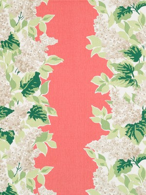 Windy Corner | Rhubarb