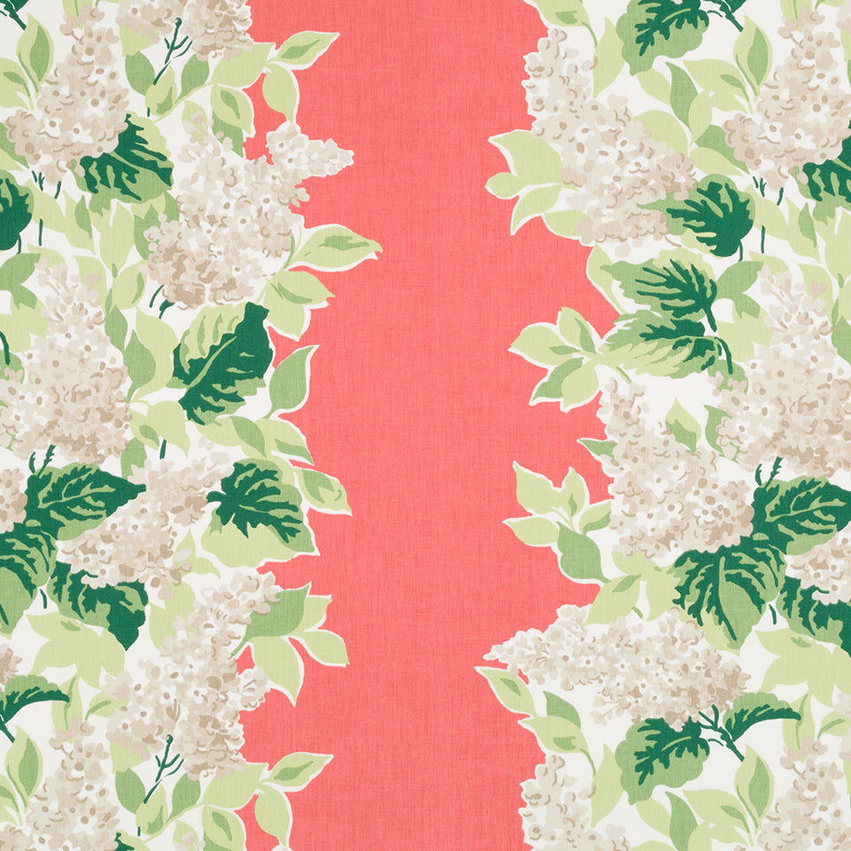 Windy Corner | Rhubarb