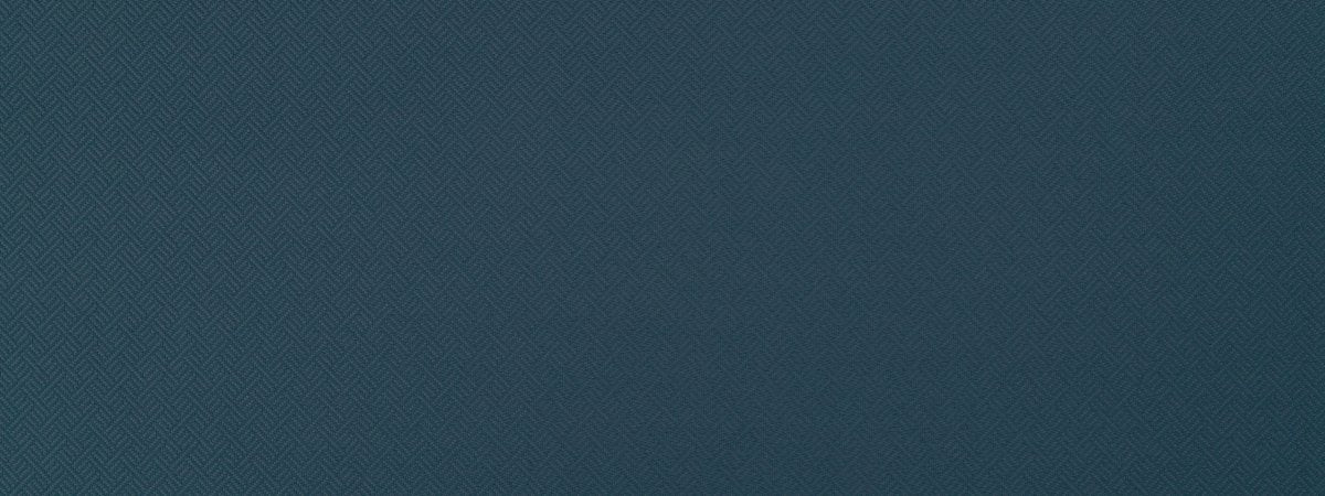Beach Club Bk | Azure - Upholstery - Fabric