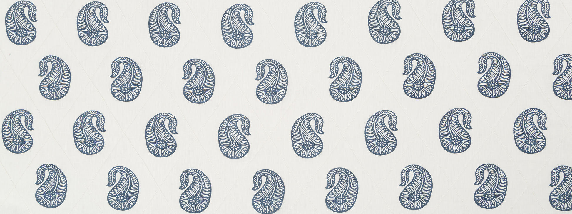 PAZETTE | MUSSEL SHELL