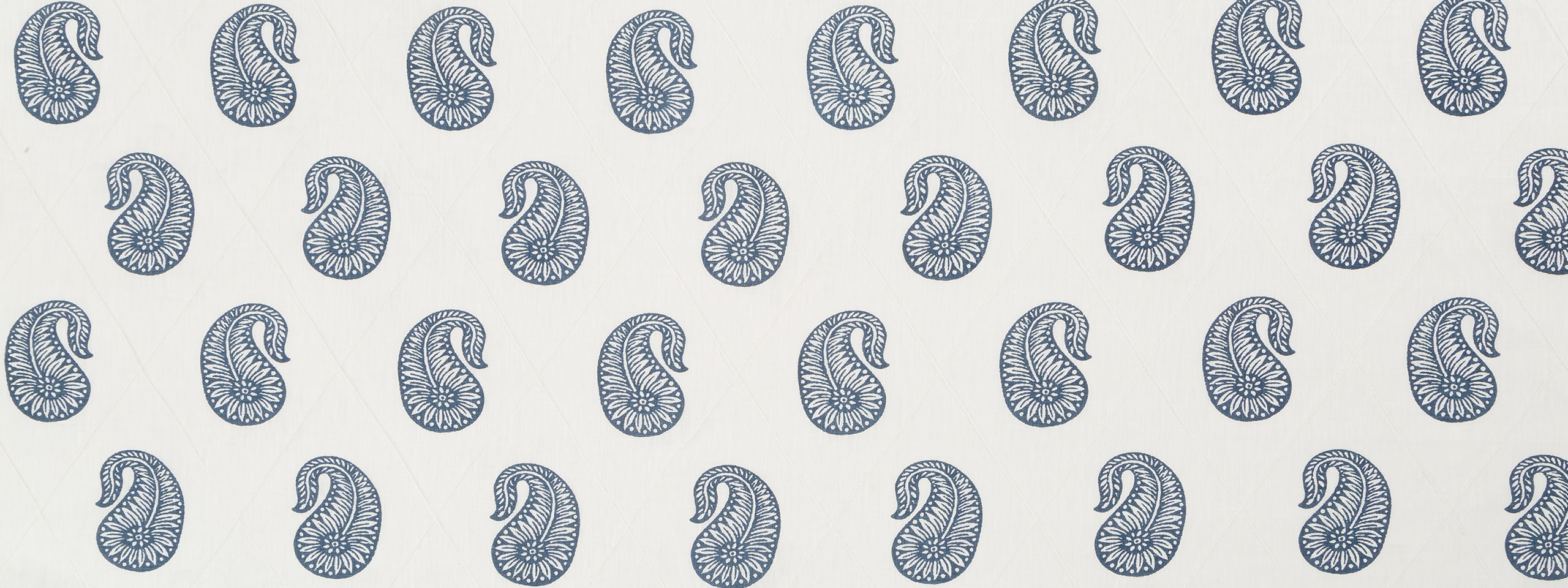 PAZETTE | MUSSEL SHELL