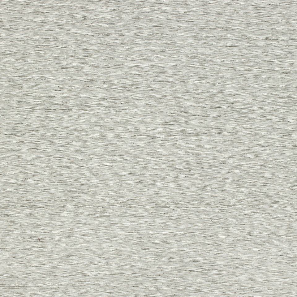 PASTARIA | DRIFTWOOD