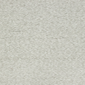 PASTARIA | DRIFTWOOD