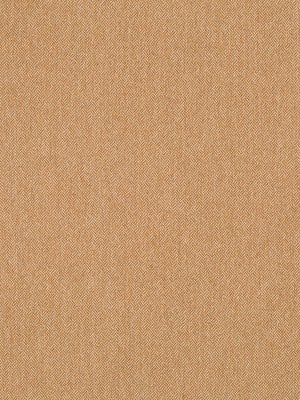 TWEEDLEDEE | COPPER