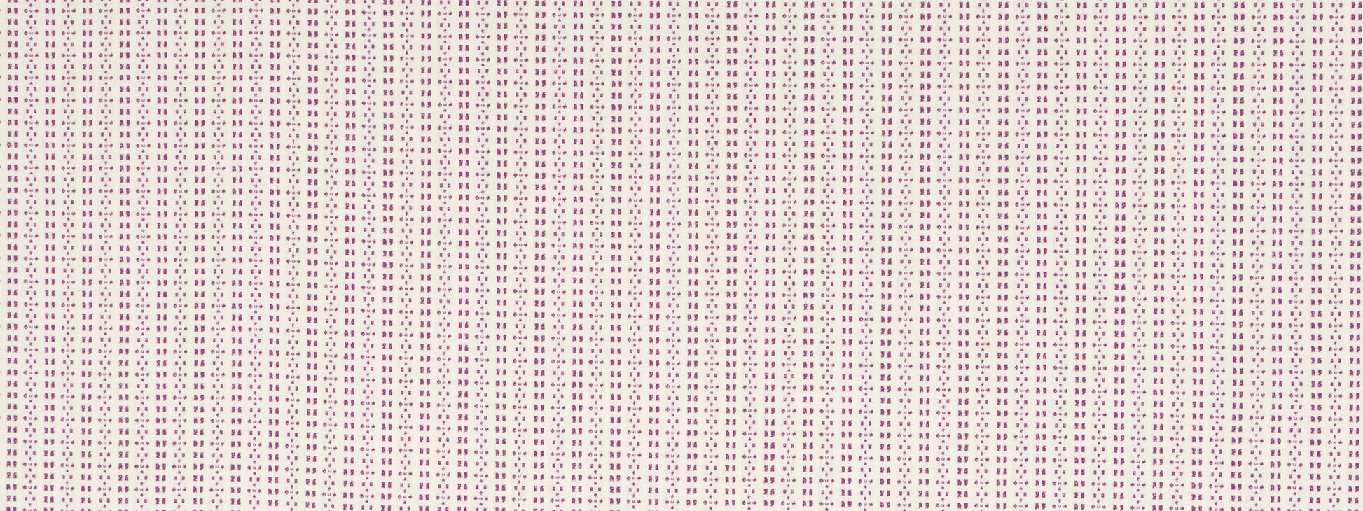 DIGITAL STRIPE | BEET