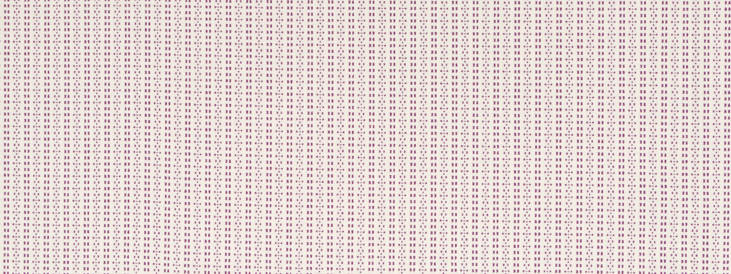 DIGITAL STRIPE | BEET