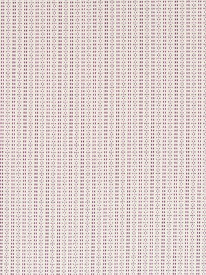 DIGITAL STRIPE | BEET