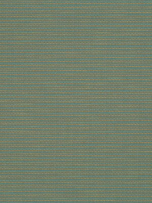 LINEAR TEXTURE | PACIFIC