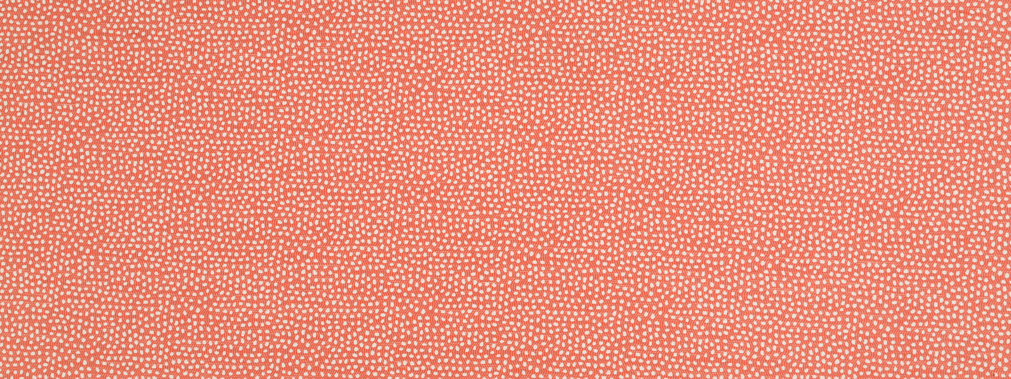 FLICKER BK | CORAL