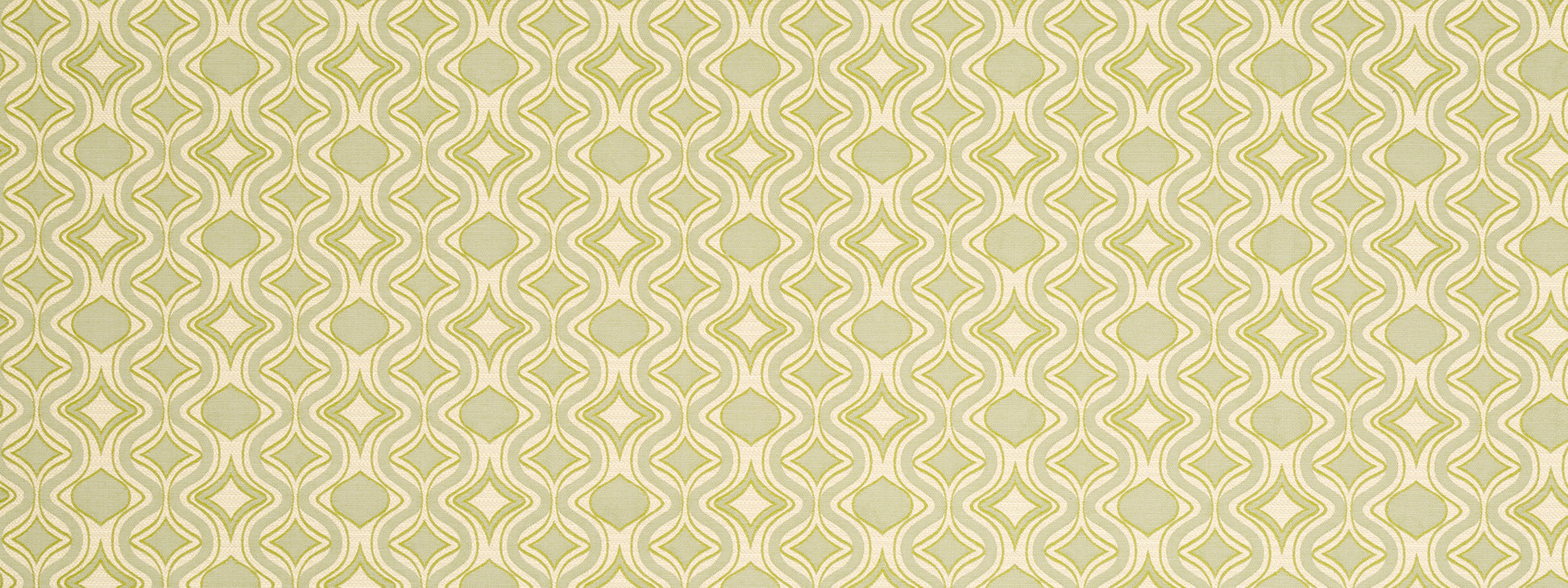CAIT SWELL | CLOVER
