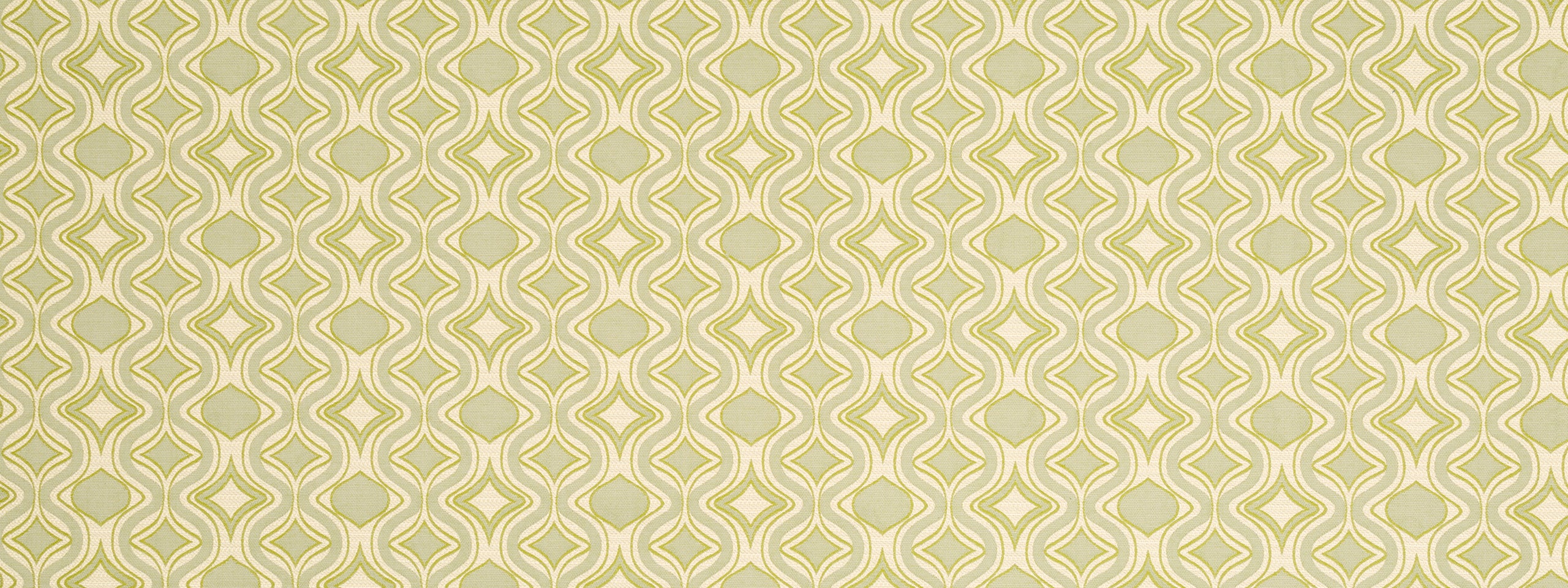 CAIT SWELL | CLOVER