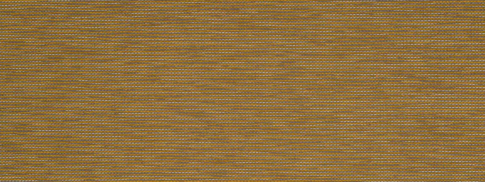 MIRROR LINE | MUSTARD