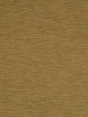 MIRROR LINE | MUSTARD