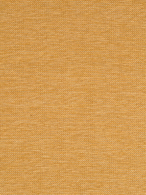 MIRROR LINE | OCHRE