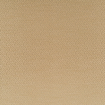 MAZE AROUND | PEBBLE