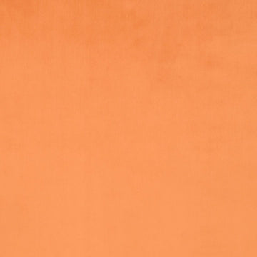 TOUCHE | SUNRISE - Multi-purpose