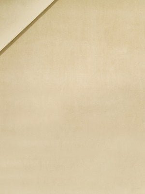 TOUCHE | GRAIN - Multi-purpose