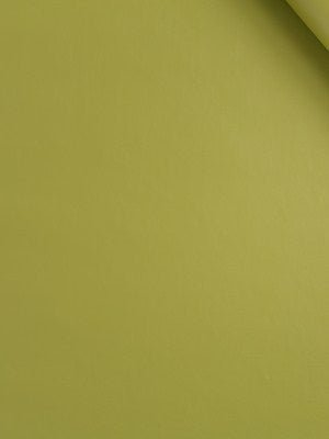 FAUX ANILINE | PALM - Upholstery - Fabric