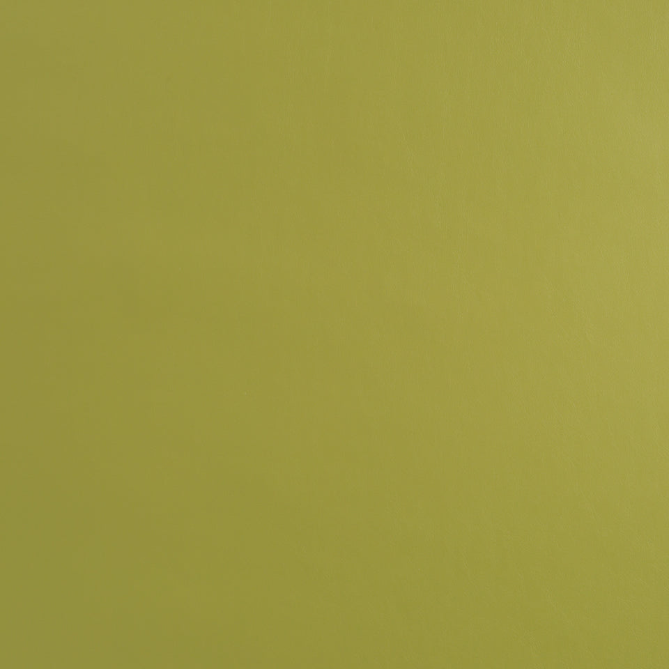 FAUX ANILINE | PALM