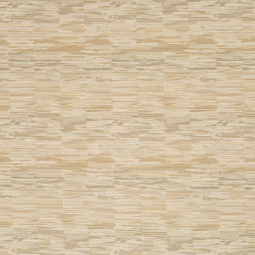 CONTOUR CUT | STARDUST