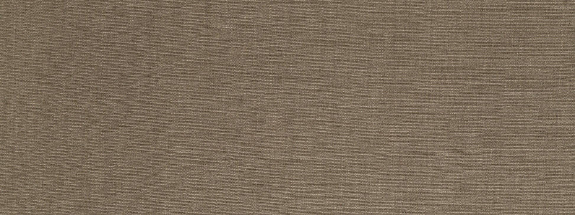 BLANK CANVAS | JASPER