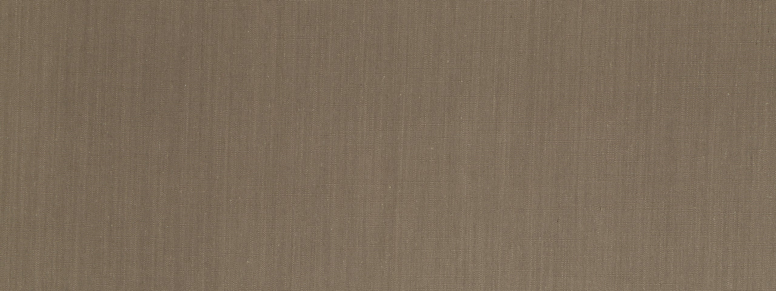 BLANK CANVAS | JASPER