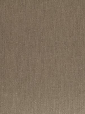 BLANK CANVAS | JASPER